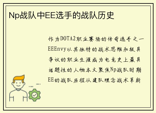 Np战队中EE选手的战队历史