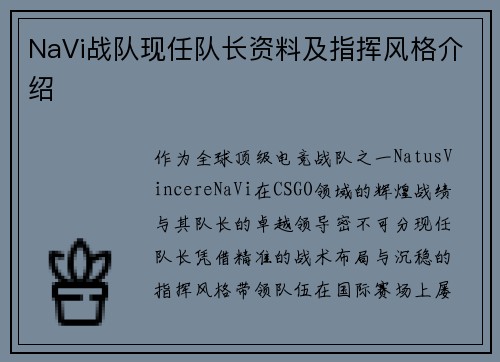 NaVi战队现任队长资料及指挥风格介绍